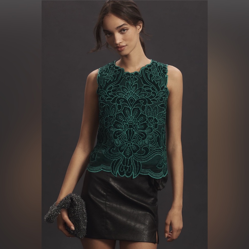 ✨ Anthropologie Lainie High-Neck Lace Cutwork Blouse Sz S